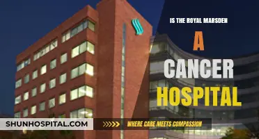 The Royal Marsden: Leading Cancer Care and Research