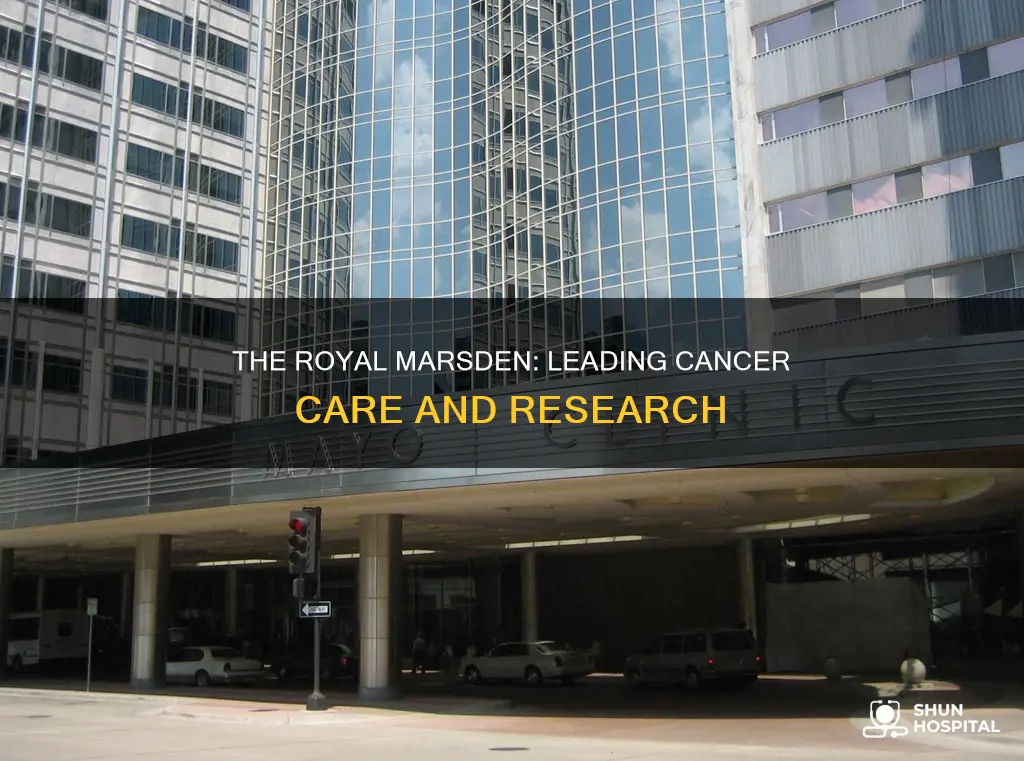 is the royal marsden a cancer hospital