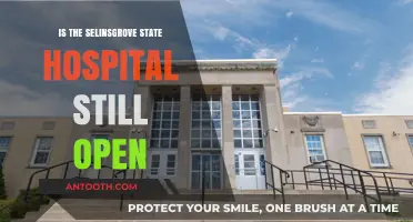 Selinsgrove State Hospital: Open or Closed?