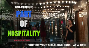 Sex Industry: Hospitality or Not?