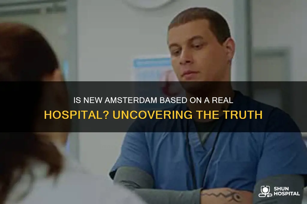 is the show new amsterdam based on a real hospital