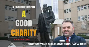 Shriners Hospitals: A Worthy Charity for Children's Healthcare?
