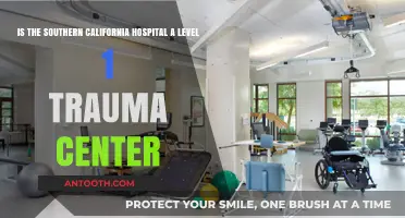 Southern California Hospital: Level 1 Trauma Center Status Explained