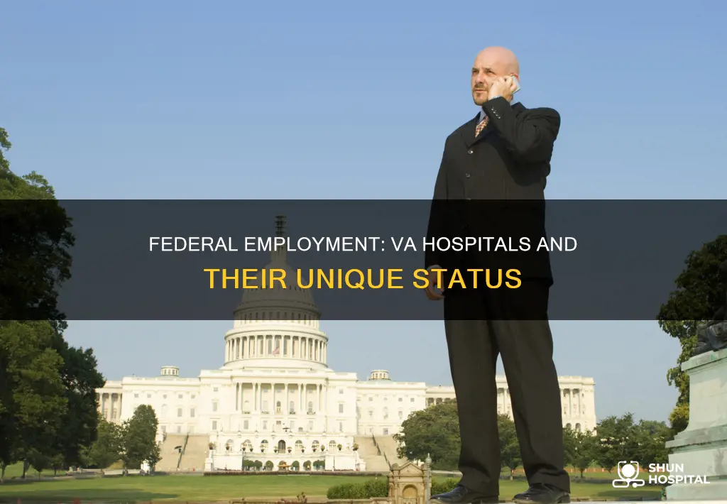is the va hospital a federal job