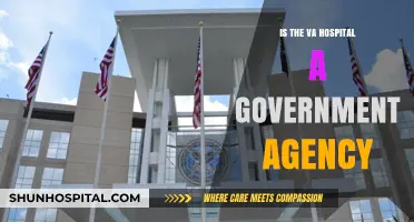 VA Hospitals: Government Agencies or Independent Entities?