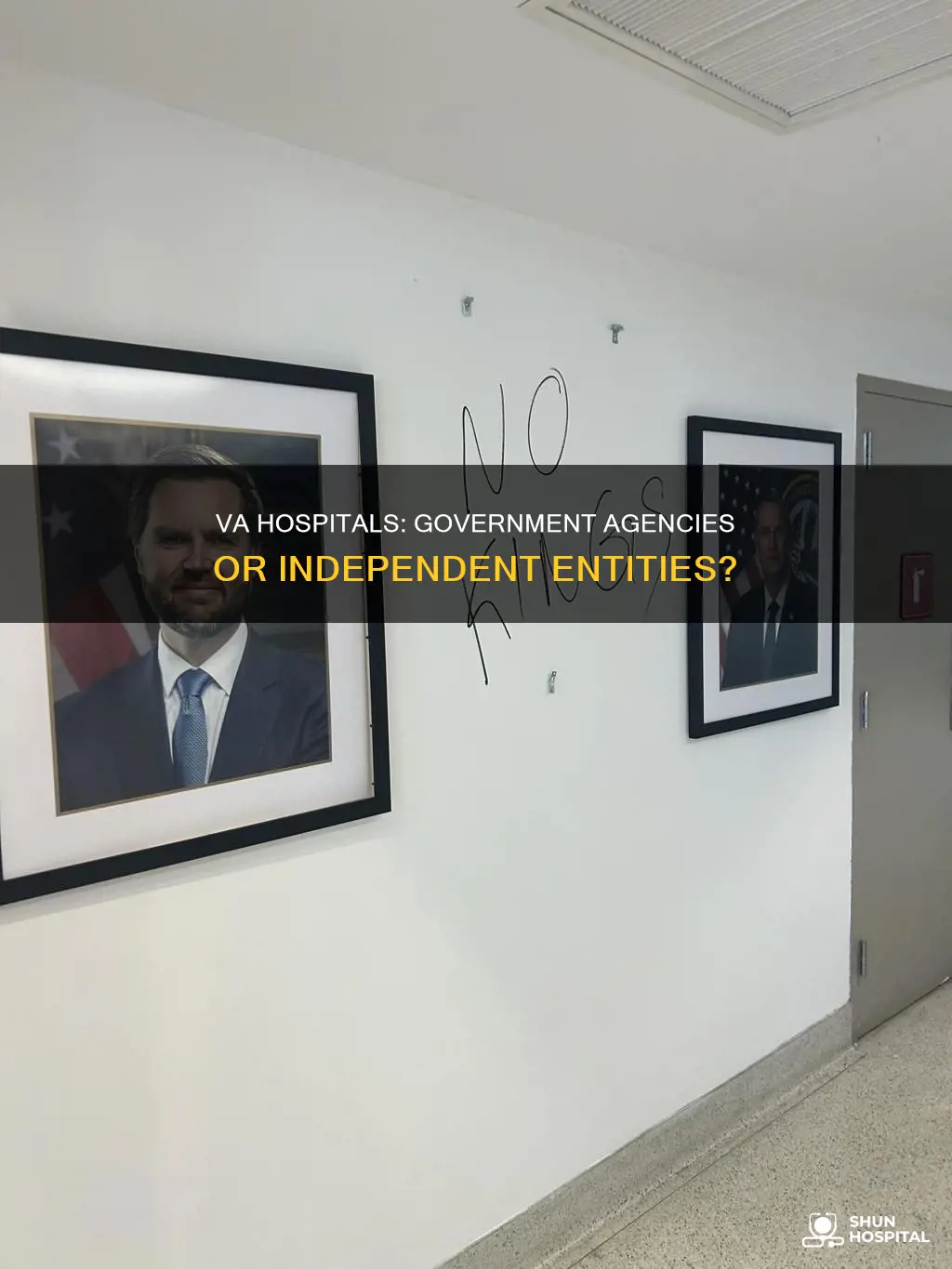 is the va hospital a government agency