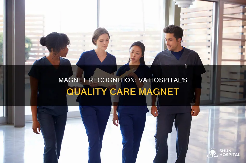 is the va hospital a magnet hospital