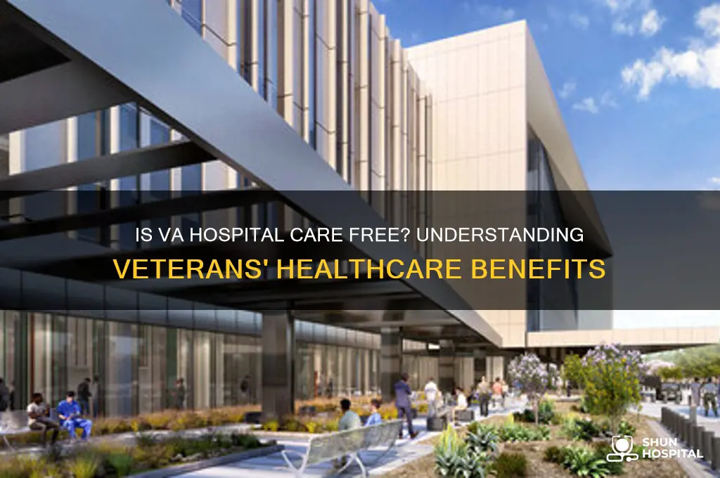 is the va hospital free