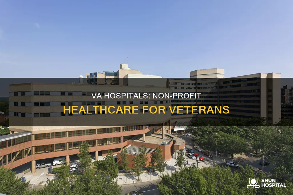 is the va hospital not for profit