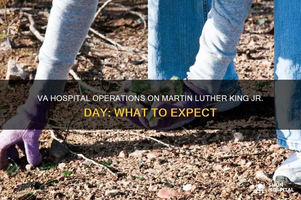is the va hospital open on martin luther king day