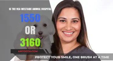 VCA Westside Animal Hospital: Clarifying the Address Confusion