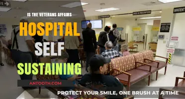 Veterans Affairs Hospital: Self-Sustaining or Needing Support?