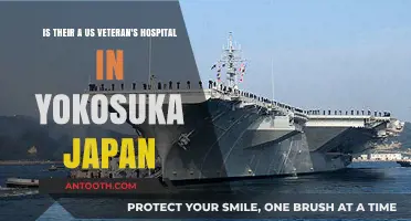 US Veteran's Hospital in Yokosuka, Japan: Fact or Fiction?