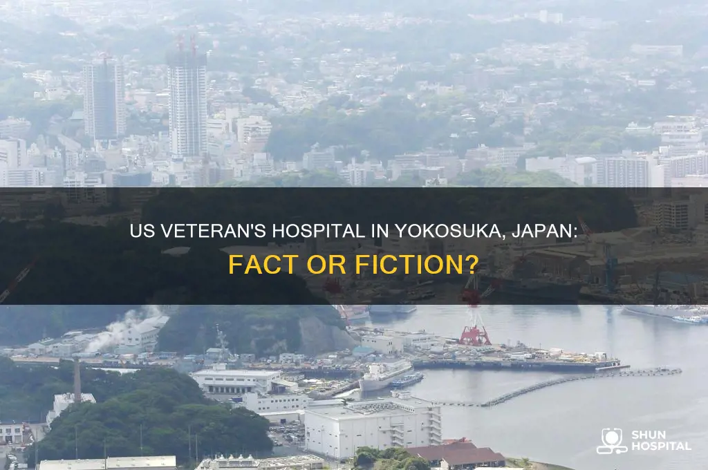 is their a us veteran