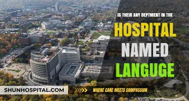 Exploring Hospital Departments: Does a Language Department Exist?