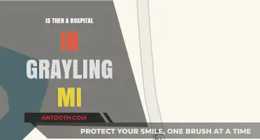 Grayling, MI: Hospital Availability and Healthcare Access