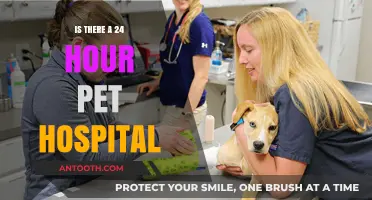 Pet Emergencies: 24-Hour Hospitals Provide Peace of Mind
