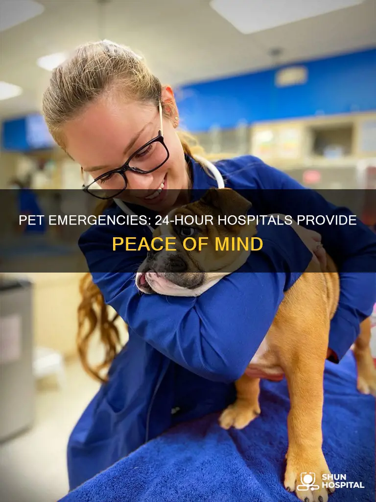 is there a 24 hour pet hospital