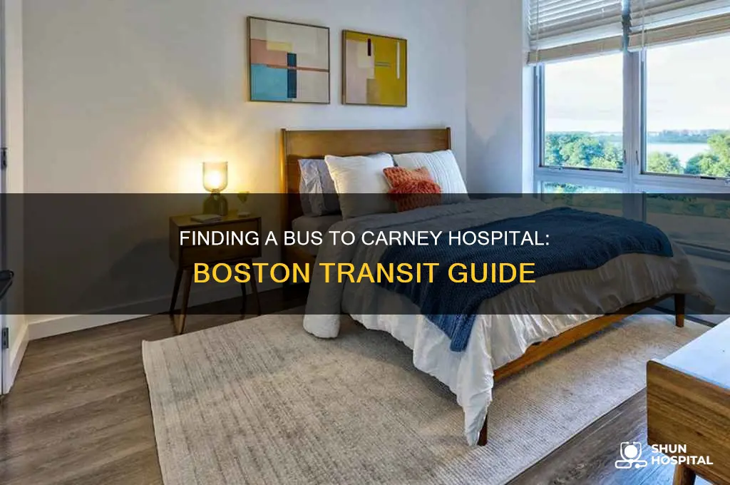 is there a bus to carney hospital in boston