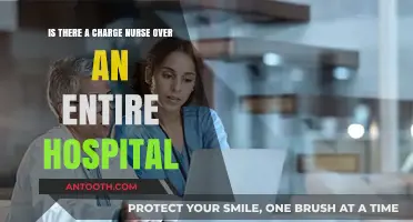 Is There a Charge Nurse Overseeing an Entire Hospital?