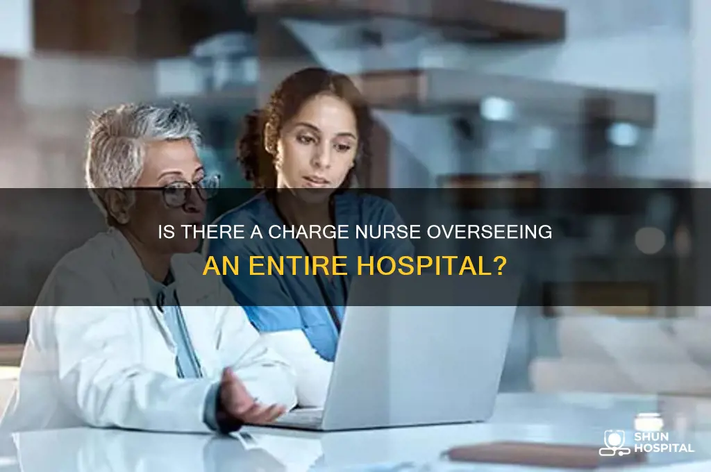 is there a charge nurse over an entire hospital