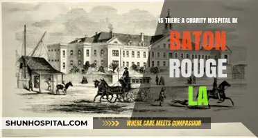 Charity Hospitals in Baton Rouge: Availability and Community Impact