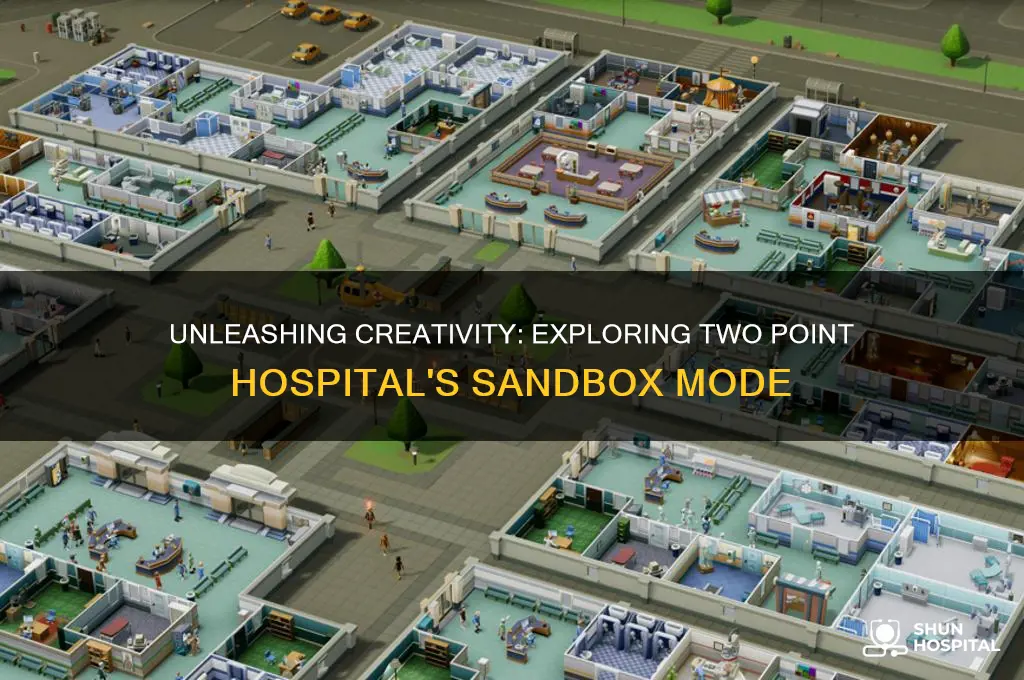 is there a creative mode in two point hospital