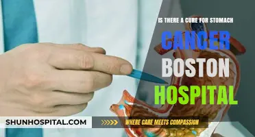 Boston Hospital's Latest Advances: Is There a Cure for Stomach Cancer?
