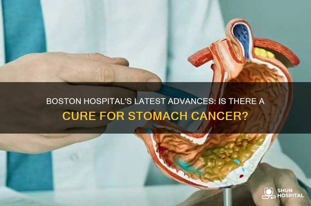 is there a cure for stomach cancer boston hospital