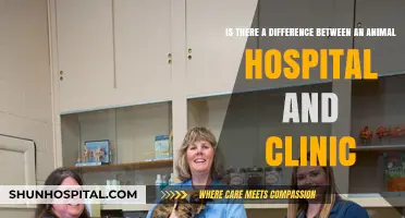 Animal Hospital vs. Clinic: Understanding the Key Differences