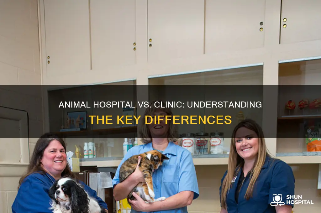 is there a difference between an animal hospital and clinic