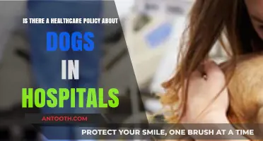 Can Dogs Visit Hospitals? Exploring Healthcare Policies for Canine Companions