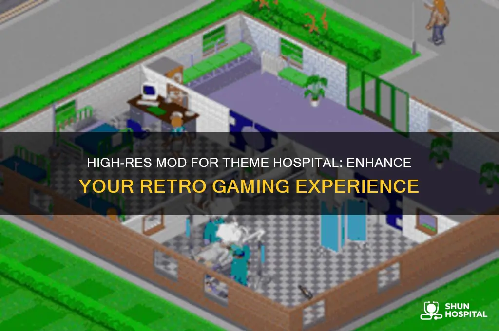 is there a high res mod for theme hospital