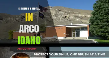 Hospital Access in Arco, Idaho: Where to Go?