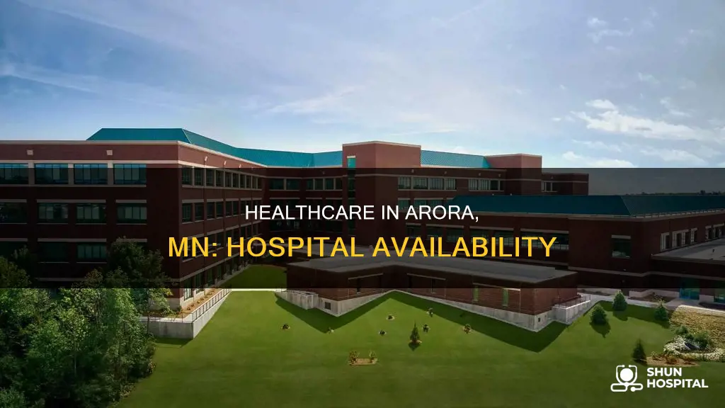 is there a hospital in arora mn