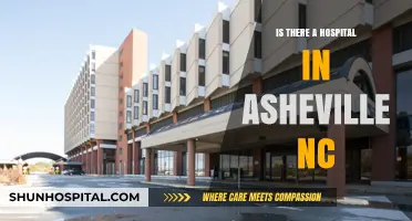 Asheville, NC: Hospitals and Healthcare Services