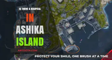 Exploring Ashika Island: Where's the Hospital?
