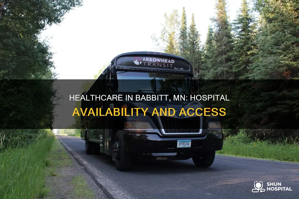 is there a hospital in babbit mn