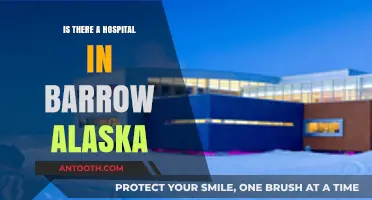 Barrow, Alaska: Hospital Availability and Accessibility