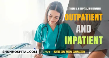 Bridging the Gap: Exploring Care Options Between Outpatient and Inpatient