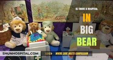 Big Bear's Hospital: Where to Go for Medical Emergencies