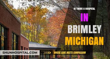 Brimley, Michigan: Hospital Availability and Location