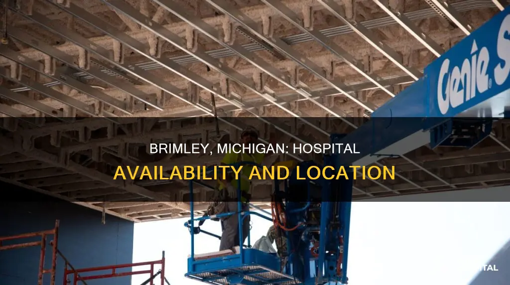 is there a hospital in brimley michigan