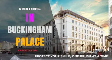 Buckingham Palace: A Hospital Within