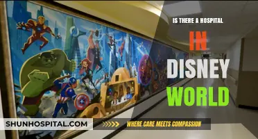 Disney World's Medical Marvel: A Hospital Haven