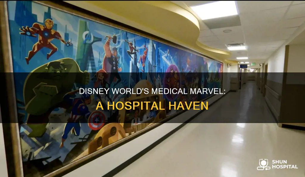 is there a hospital in disney world