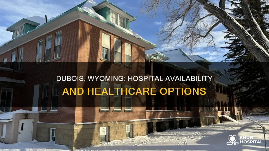 is there a hospital in dubois wyoming
