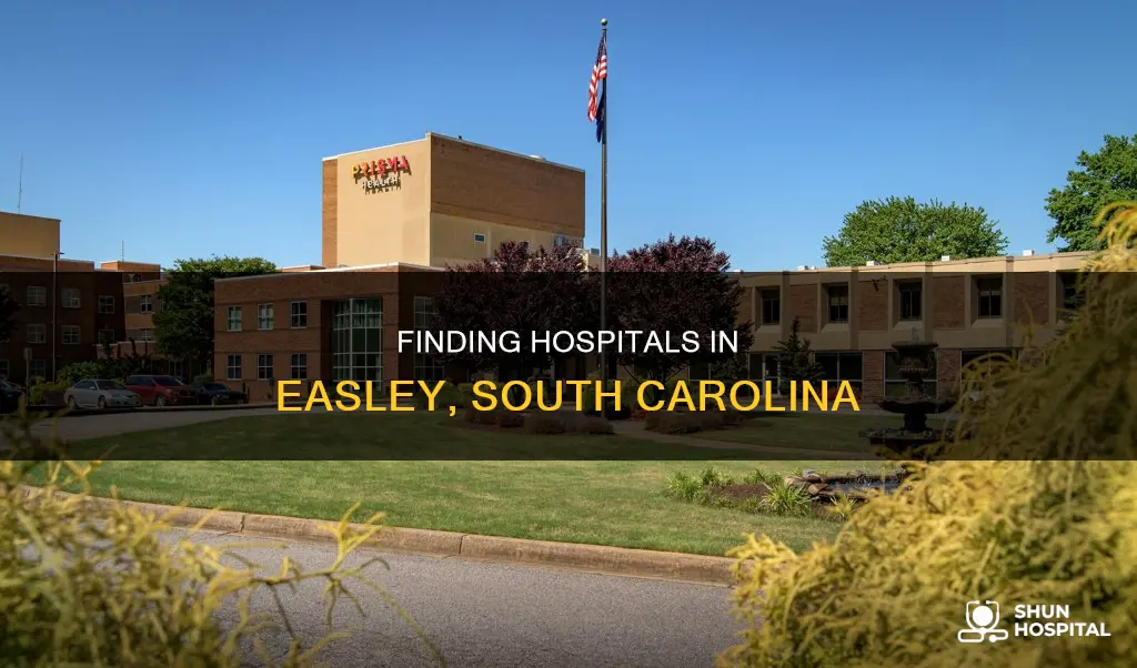 is there a hospital in easley sc