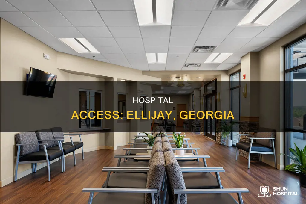 is there a hospital in ellijay ga