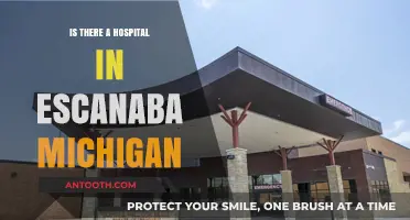 Escanaba Hospital: Quality Care in Michigan's Upper Peninsula